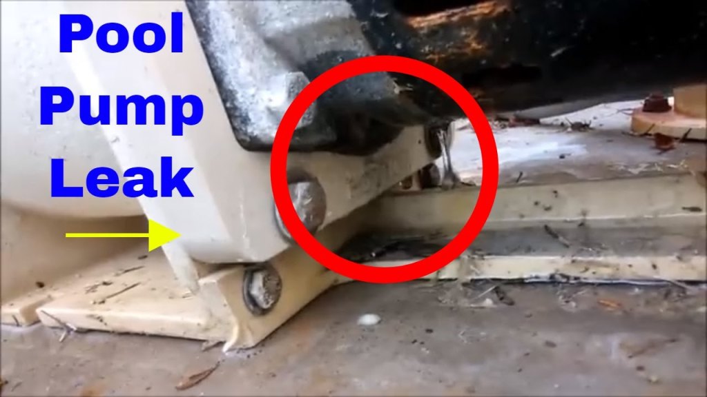 Picture of: Pool Pump leak out of the bottom and fix. Please Subscribe.